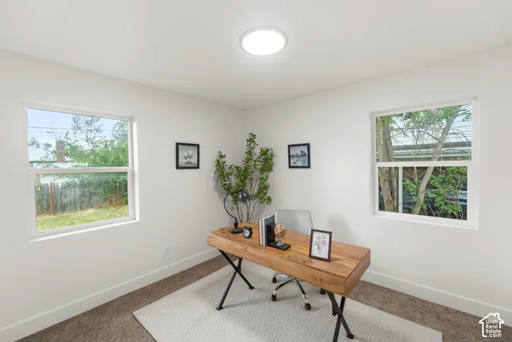 Bright room with white walls, two windows, and a flush-mount ceiling light