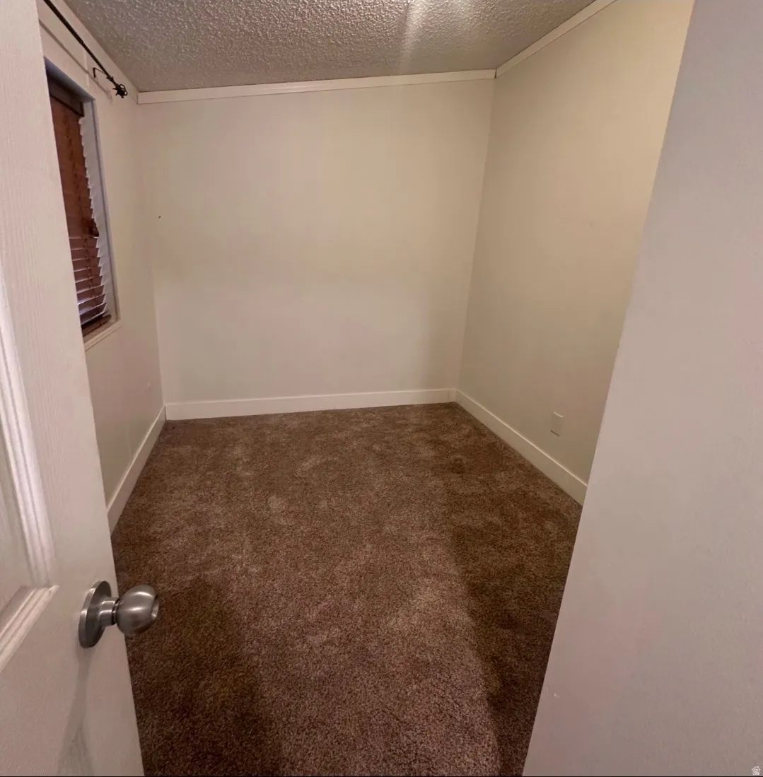 Wall-to-wall carpeting and neutral wall paint