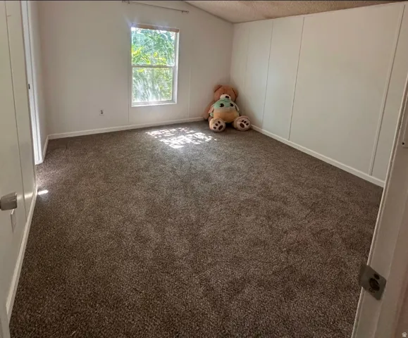 Brown carpeted flooring