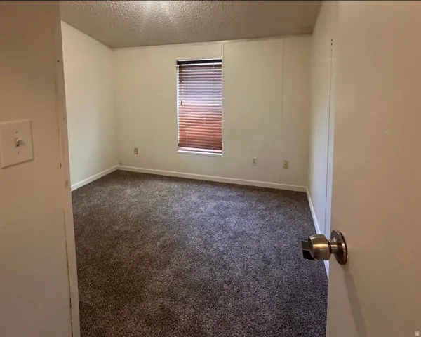 Wall-to-wall carpeting, window with blinds, and light-toned walls