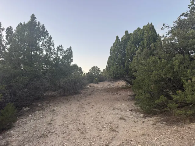 Great Usable Lot