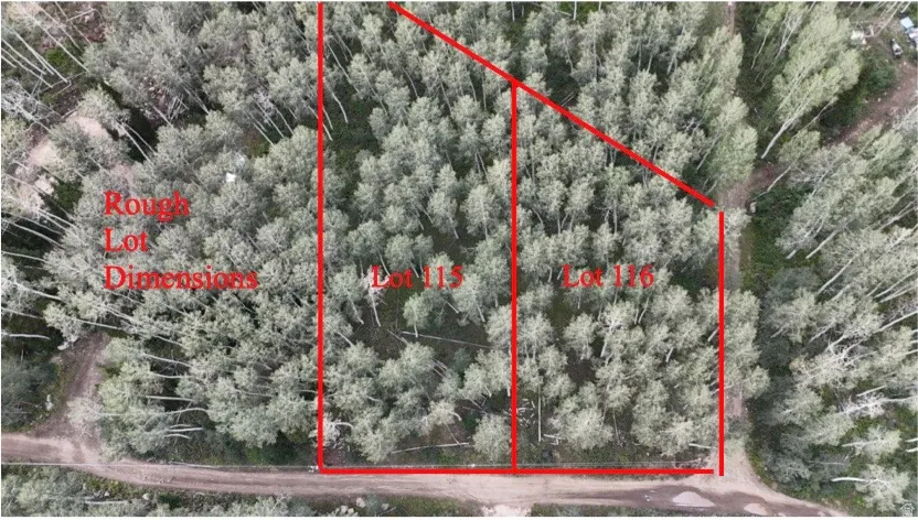 Aerial Survey. Illustrating approximate lot dimensions for Lot 115 and Lot 116 of the property