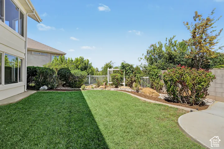 Expansive rear yard with a manicured lawn, established landscaping, and a concrete patio