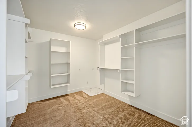 Built-in shelving units, integrated hanging rods, recessed ceiling light, and wall-mounted shelving