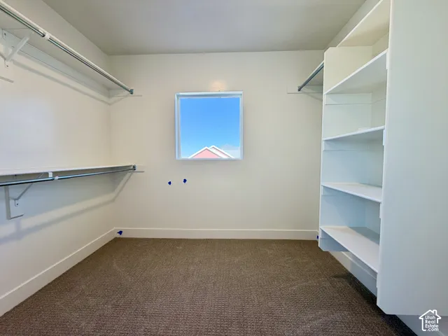 Integrated shelving system, wall-mounted hanging rods, carpet flooring, and a single window