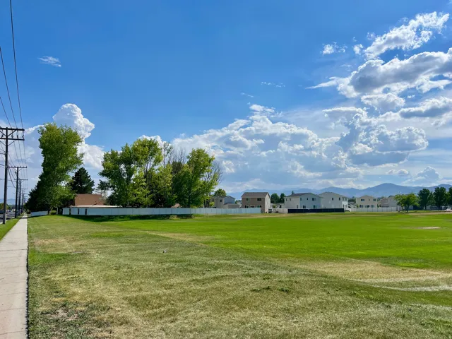 Expansive green space with distant mountain range