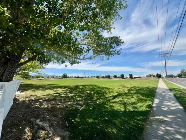 Expansive green space featuring a mature tree, white privacy fencing, and a paved sidewalk
