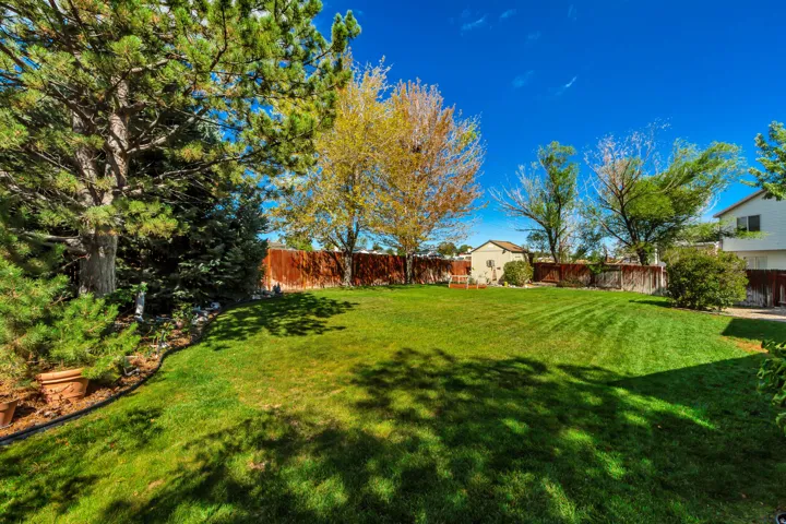Expansive lawn area with mature trees, established landscaping, and perimeter fencing