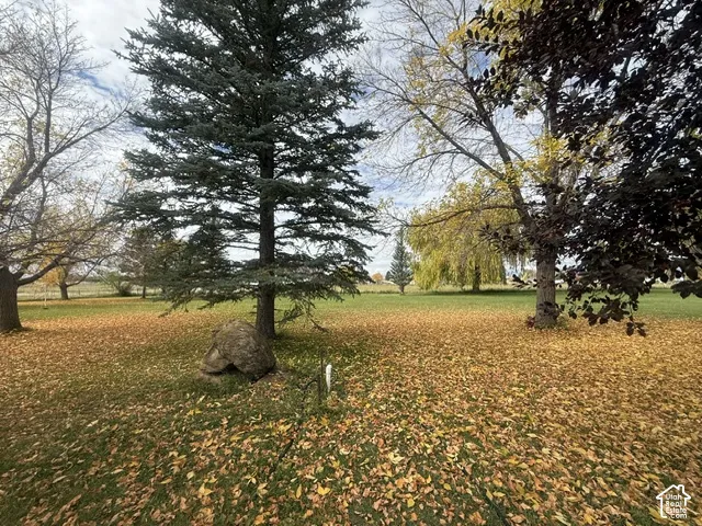Expansive grounds featuring mature evergreen and deciduous trees with a natural stone boulder
