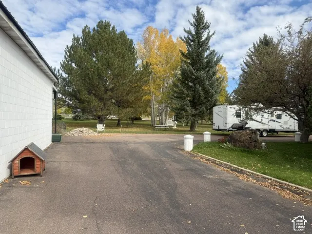 Asphalt driveway with white-painted concrete bollards and mature evergreen and deciduous trees