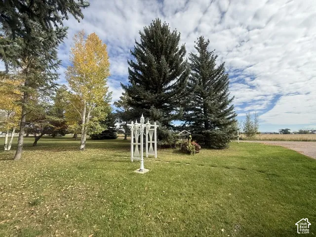 Expansive grounds featuring mature evergreen and deciduous trees, a manicured lawn, and a white metal arbor