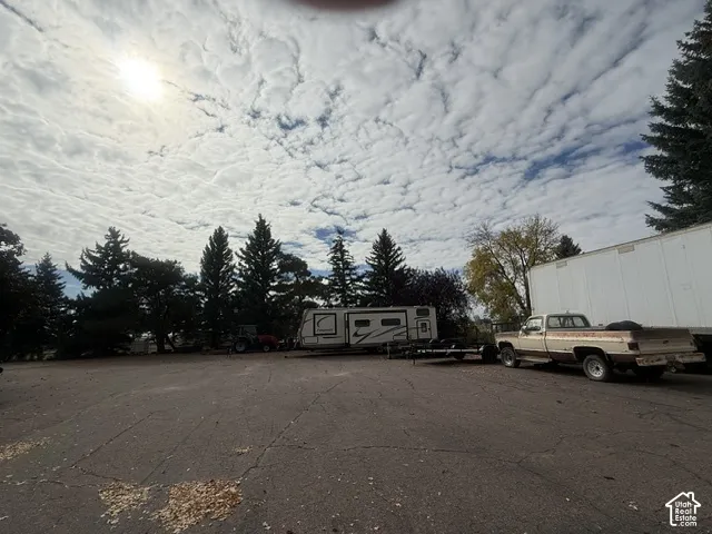 Expansive asphalt lot bordered by mature evergreen trees