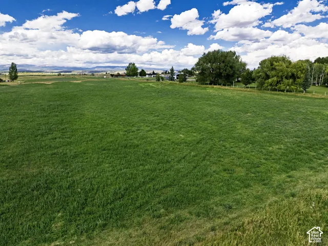 Expansive green field with distant properties and mature trees under a blue sky with clouds