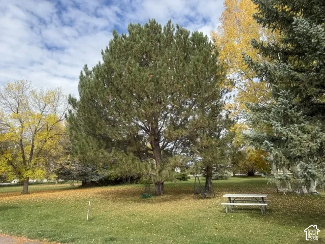 Expansive outdoor grounds featuring mature evergreen and deciduous trees, open lawn space, and built-in picnic table seating