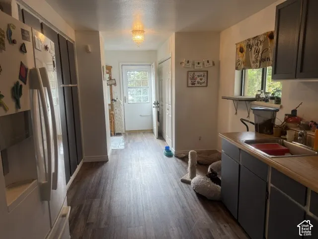Kitchen featuring wood-finish flooring, dark-toned cabinetry, a stainless steel sink, and a decorative flush-mount ceiling light fixture