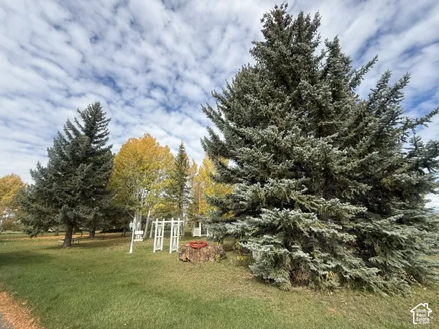 Expansive grounds featuring mature spruce and deciduous trees, open lawn space, and a white decorative arbor