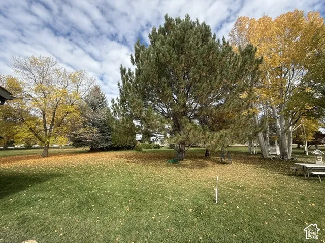 Expansive grounds featuring mature coniferous and deciduous trees and open lawn space