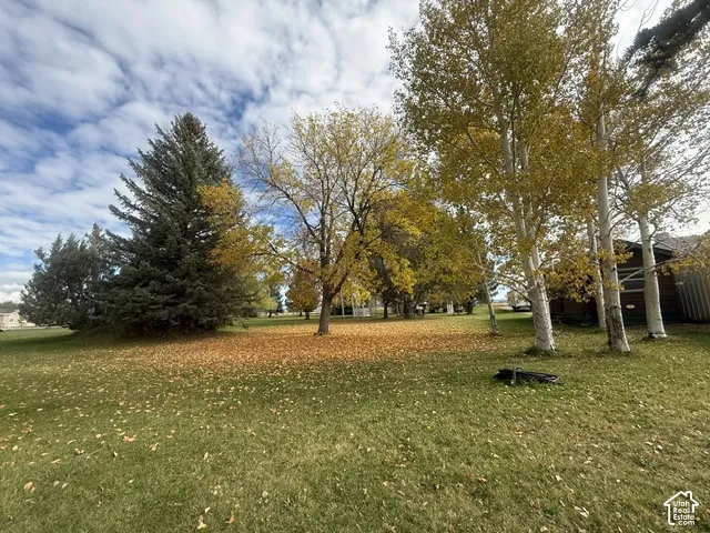 Expansive grounds featuring mature coniferous trees, deciduous hardwoods, and birch specimens