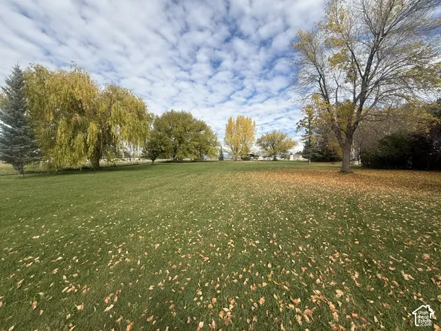 Expansive open grounds featuring a level grass lawn and mature deciduous and coniferous trees
