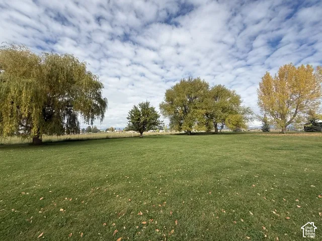 Expansive grounds featuring a vast lawn, mature deciduous trees, and perimeter fencing
