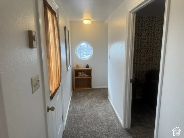 Hallway featuring wall-to-wall carpeting, a circular accent window with decorative muntins, and a flush-mount ceiling light fixture