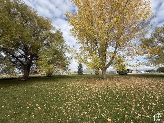 Expansive lot featuring mature deciduous trees, evergreen trees, and perimeter fencing