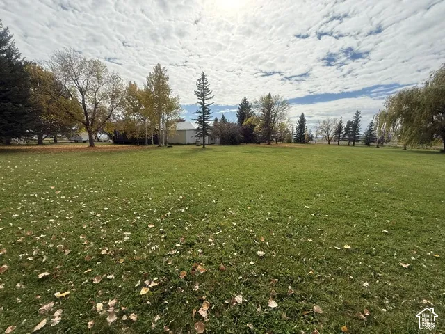 Expansive grass lot featuring mature evergreen and deciduous trees