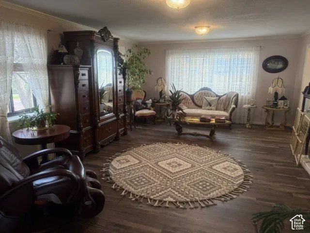 Living space featuring wood-finish flooring, two flush-mount ceiling light fixtures, and windows with neutral-toned trim