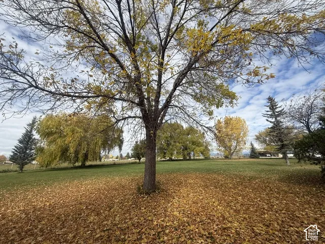 Expansive grounds featuring mature deciduous and coniferous trees, a grass lawn, and open terrain