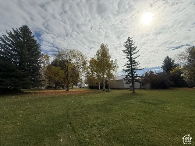 Expansive grounds featuring a spacious lawn, mature evergreen trees, and established deciduous trees