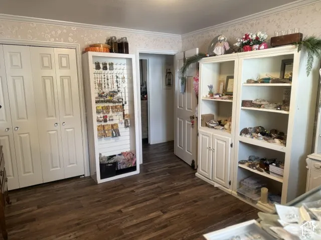 Wood-finish flooring, white panel doors, and built-in floor-to-ceiling cabinetry with integrated shelving