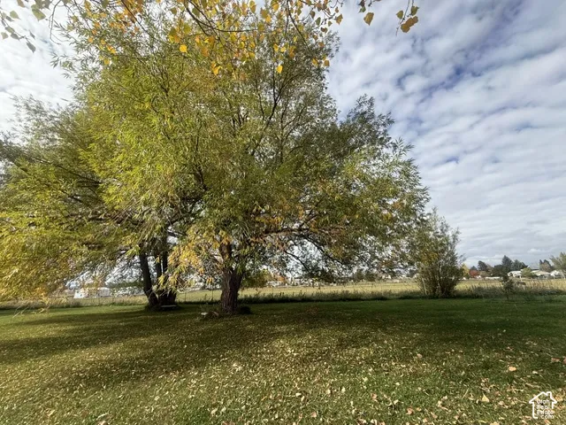 Expansive grounds featuring mature deciduous trees and open grass area