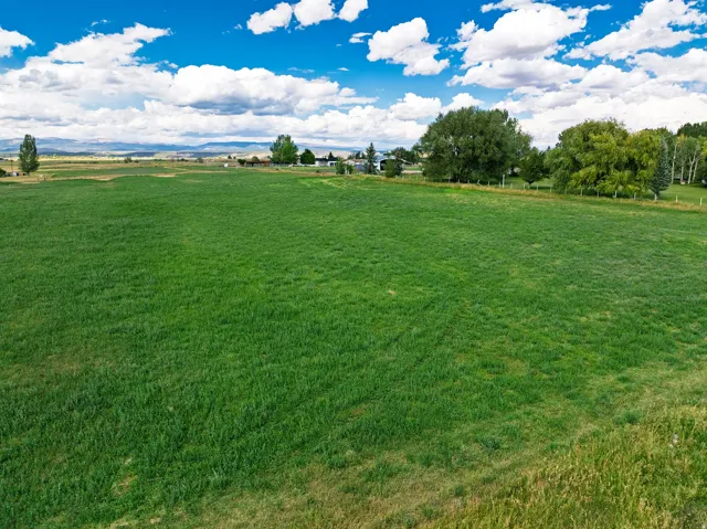 Expansive green field with distant properties and mature trees under a blue sky with clouds