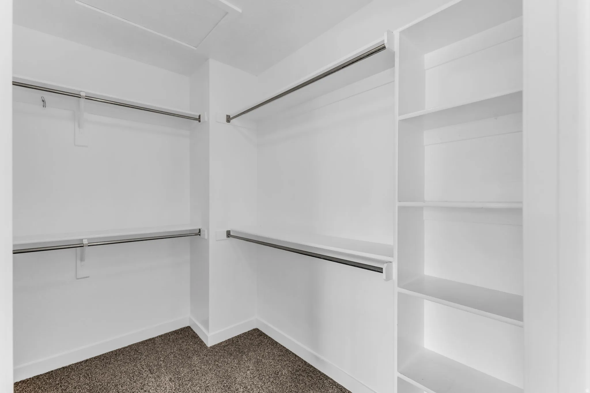 Walk-in closet featuring built-in shelving, multiple hanging rods, and carpet flooring