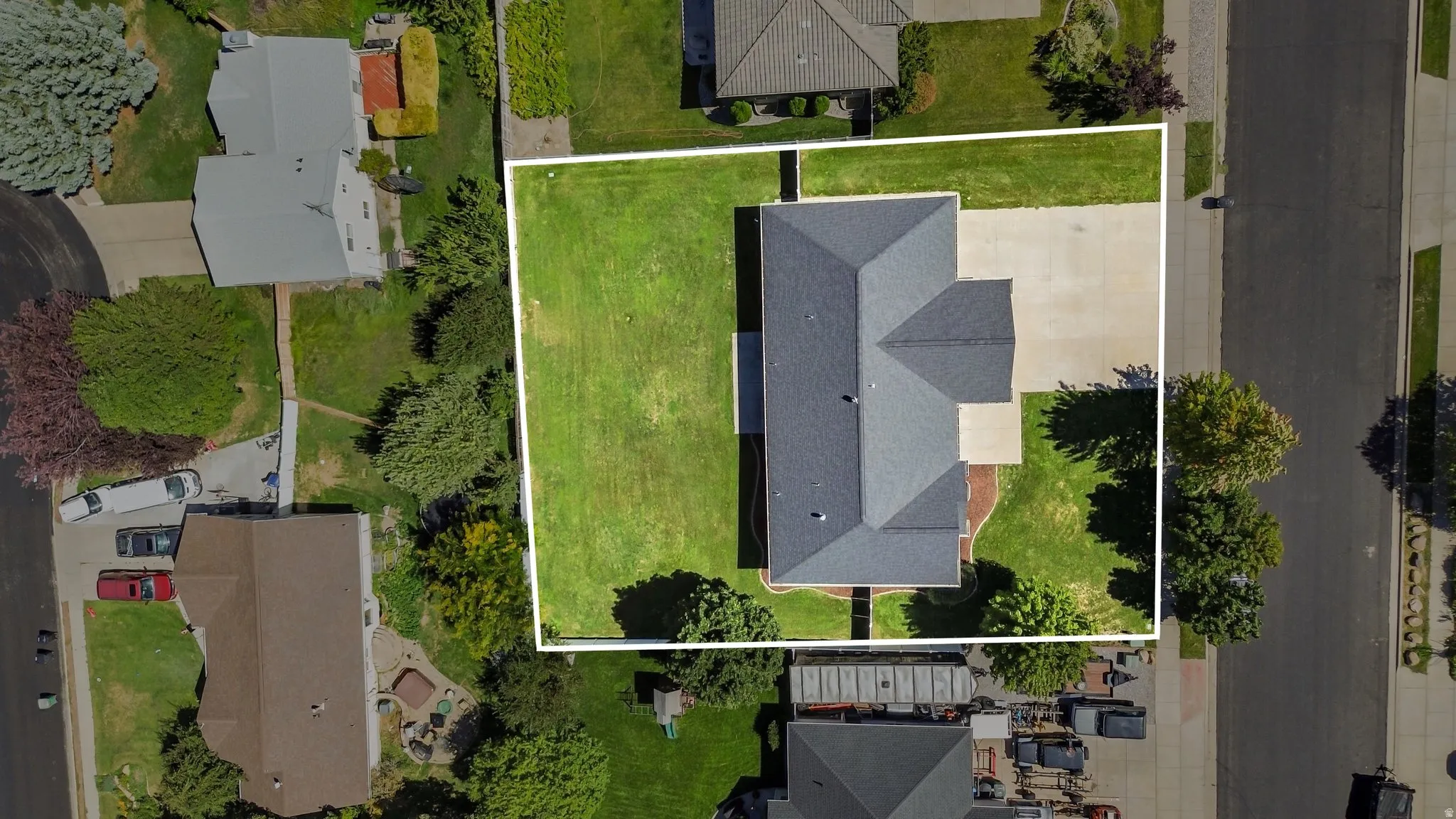 Expansive lot featuring a large lawn, mature trees, and a spacious paved driveway