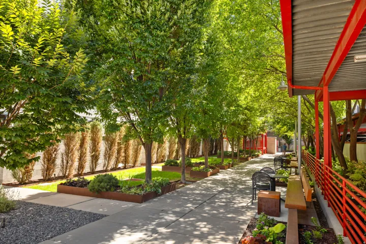 Landscaped pathway featuring mature trees, raised planters, and concrete paving