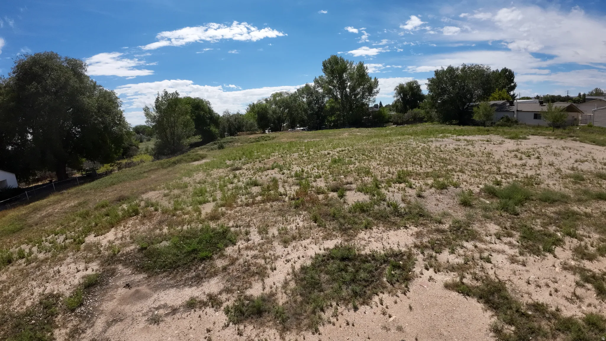 Expansive open terrain featuring established trees