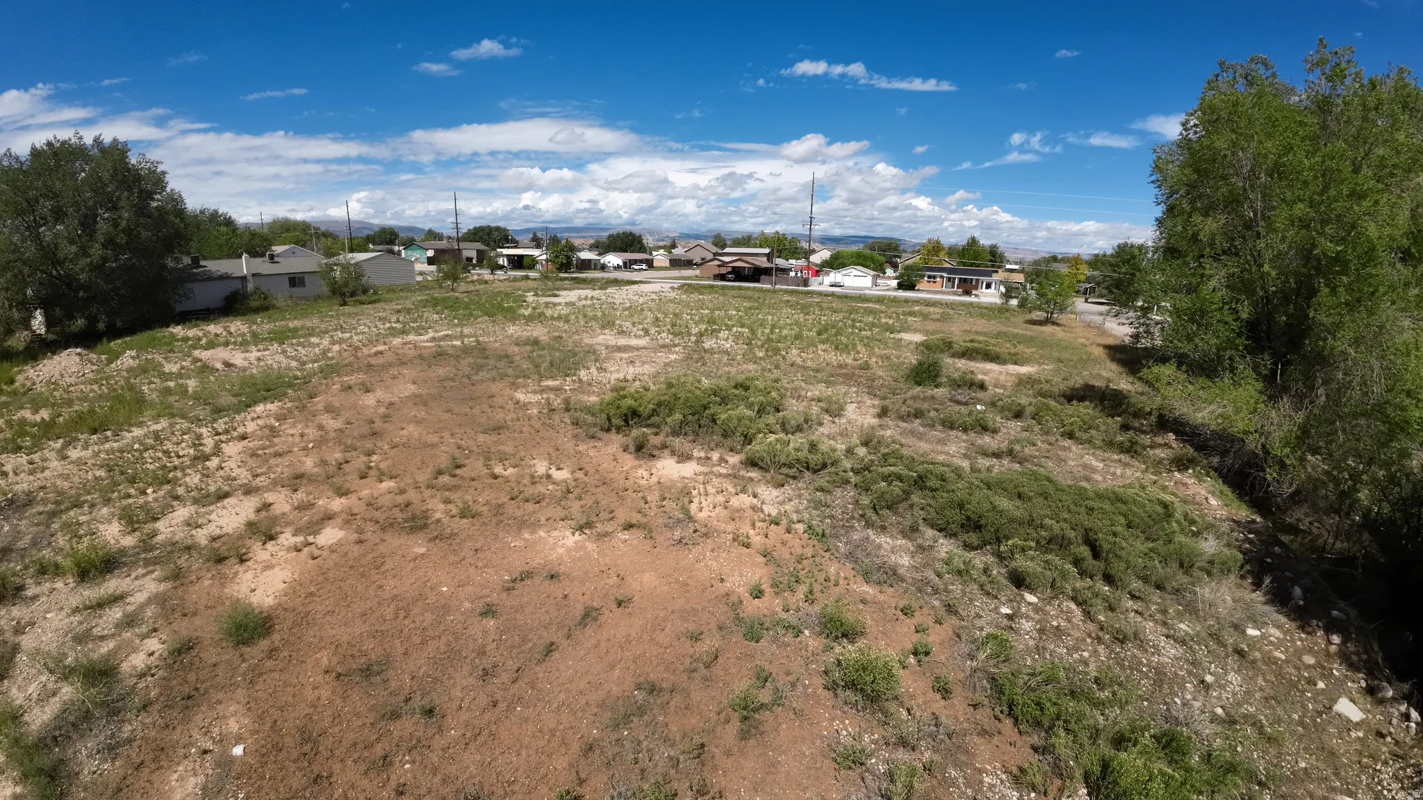 Expansive undeveloped land featuring diverse ground cover and mature trees along the perimeter