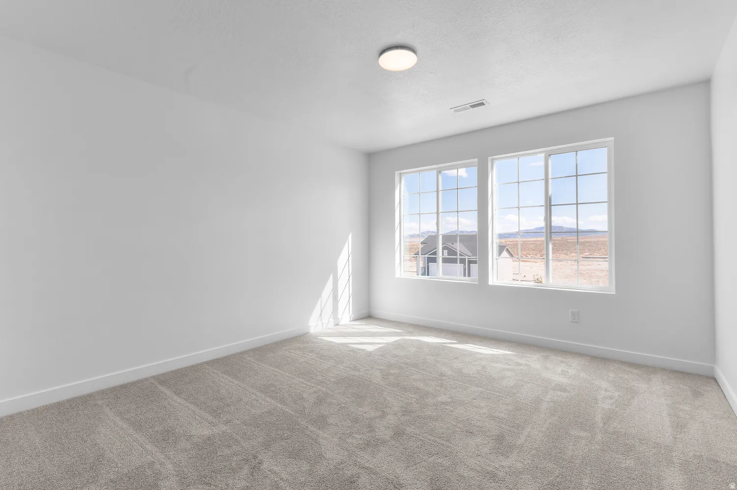 Carpeted room featuring two large grid-patterned windows and a ceiling-mounted light fixture