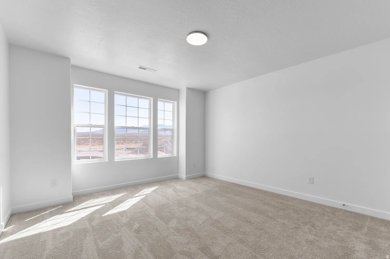 Wall-to-wall carpeting, multiple windows with grid patterns, and a flush mount ceiling light fixture