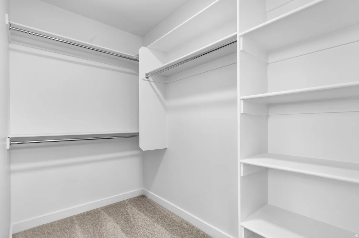 Built-in shelving, chrome hanging rods, and neutral carpeting