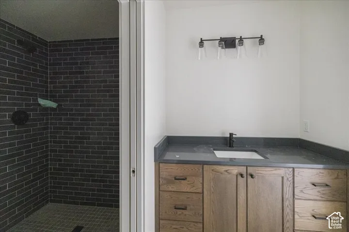 Basement Jack & Jill Bathroom