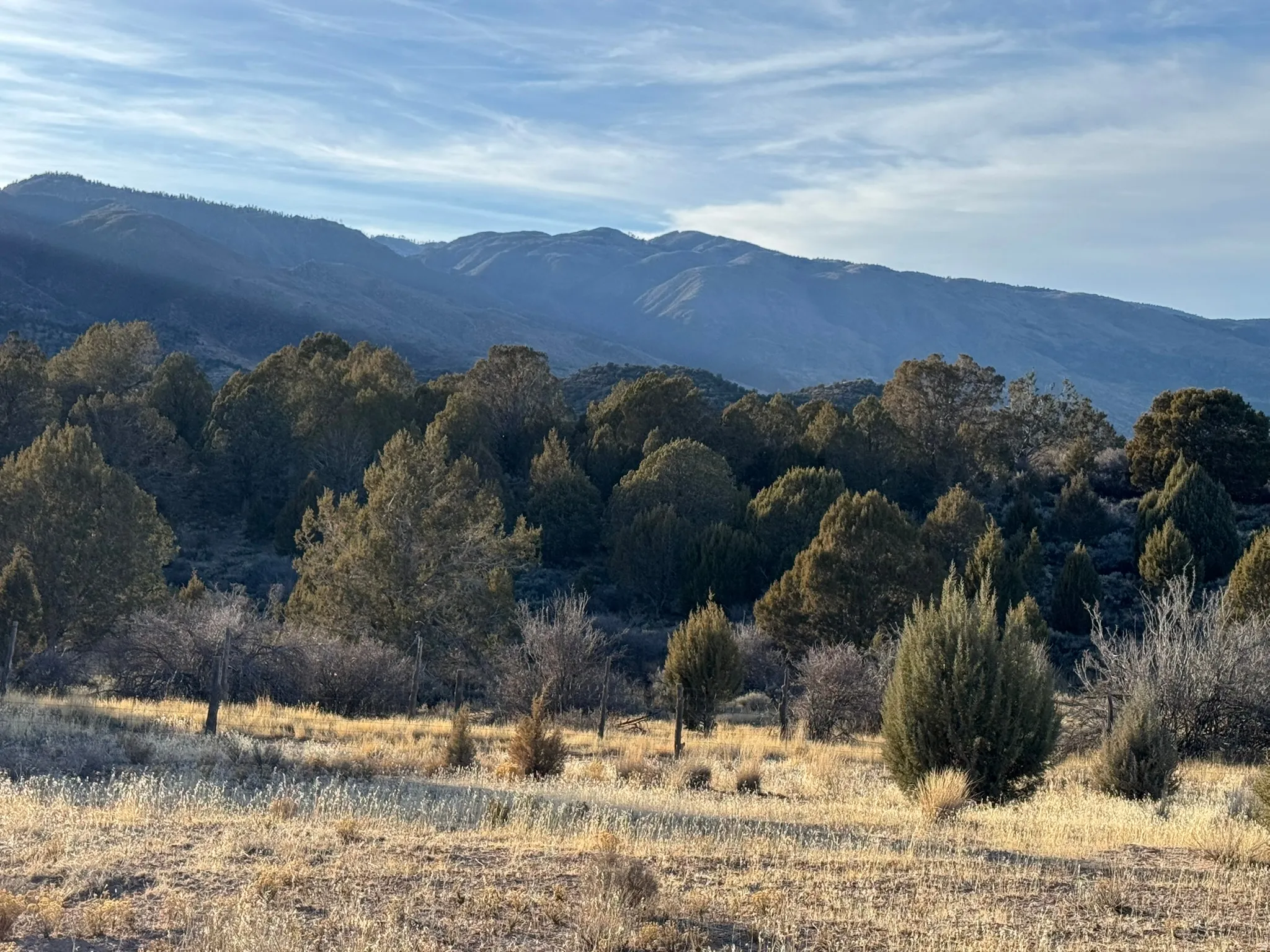 Expansive terrain featuring natural vegetation, mature trees, and distant mountain ranges under a vast sky