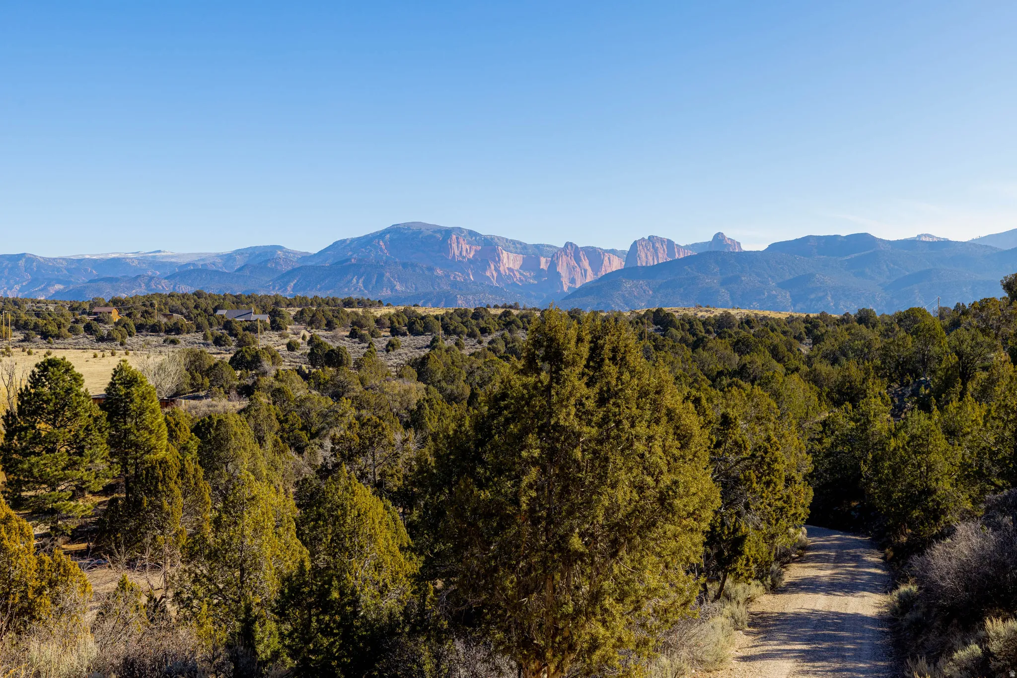 Expansive natural landscape with diverse evergreen trees, mountainous backdrop, and a visible dirt path