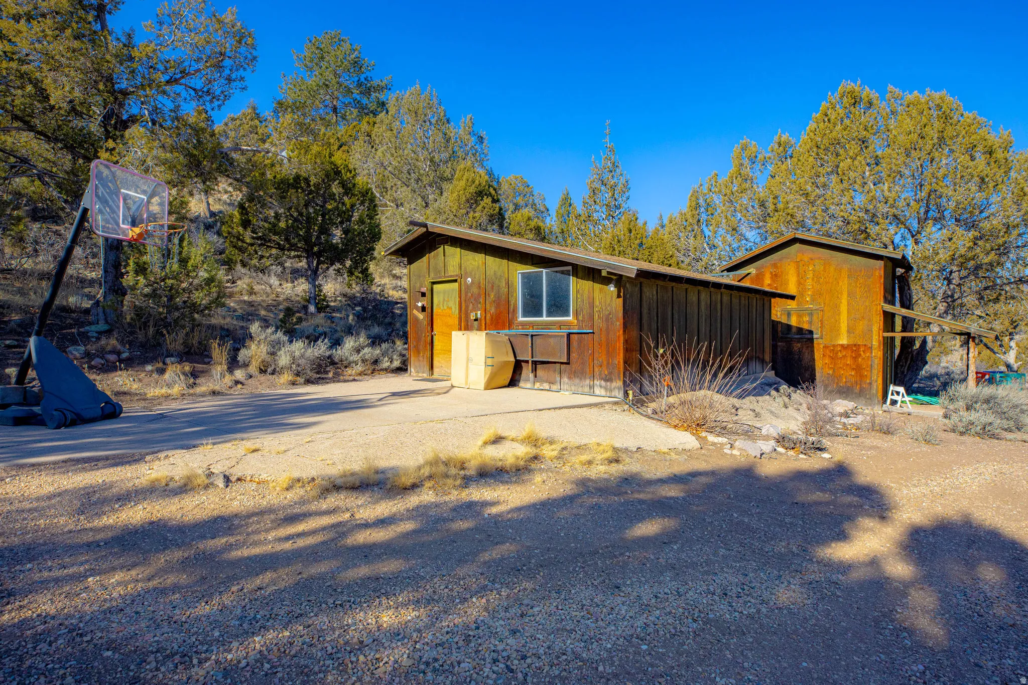 Modern cabin-style residence featuring warm wood-finish exterior with large picture windows, situated on a generously sized lot surrounded by mature pine and aspen trees