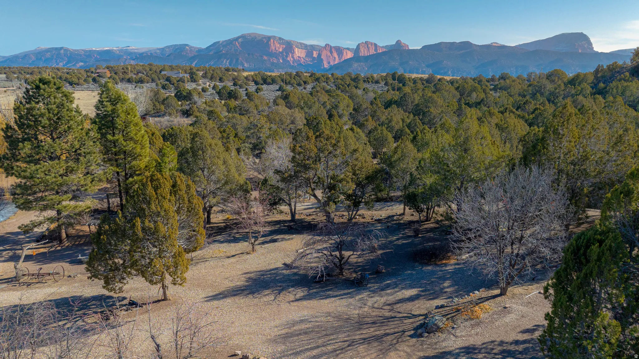 Expansive natural landscape with mature trees and distant mountain formations