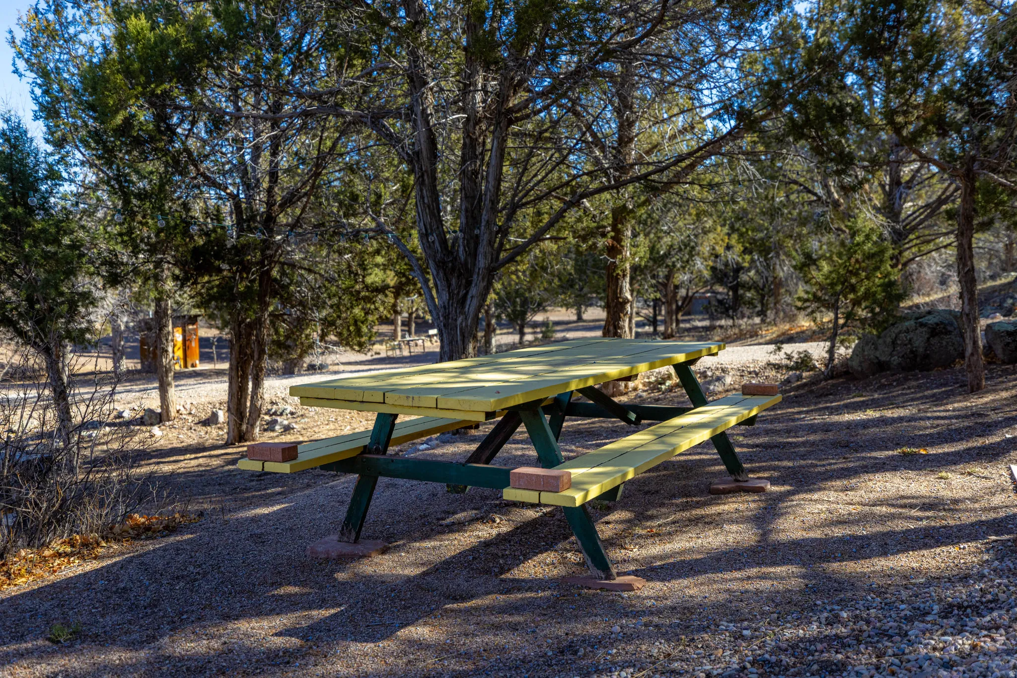 Gravel-covered ground featuring mature trees and a picnic table