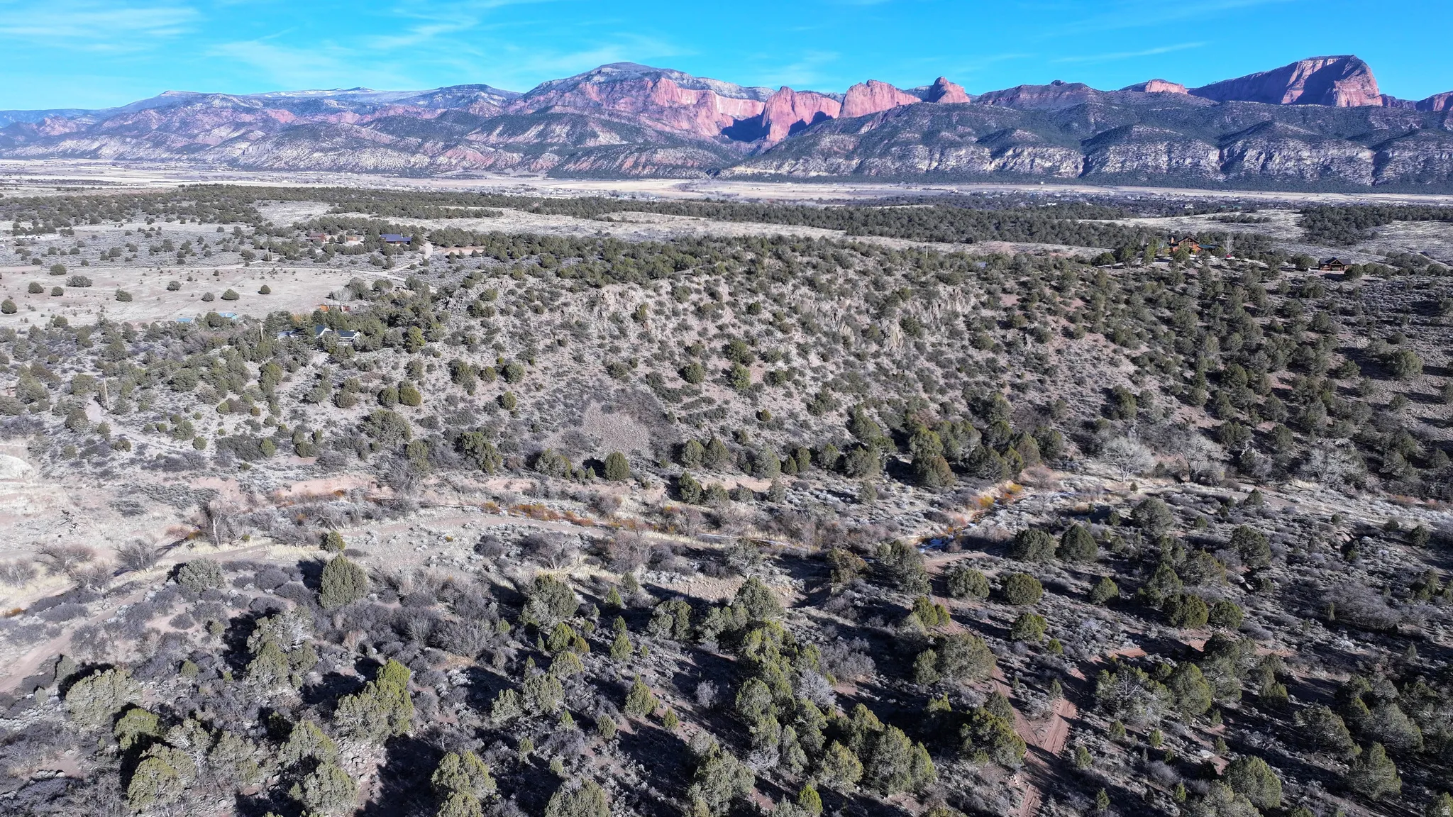 Expansive natural landscape featuring scattered evergreen trees and distant mountain ranges