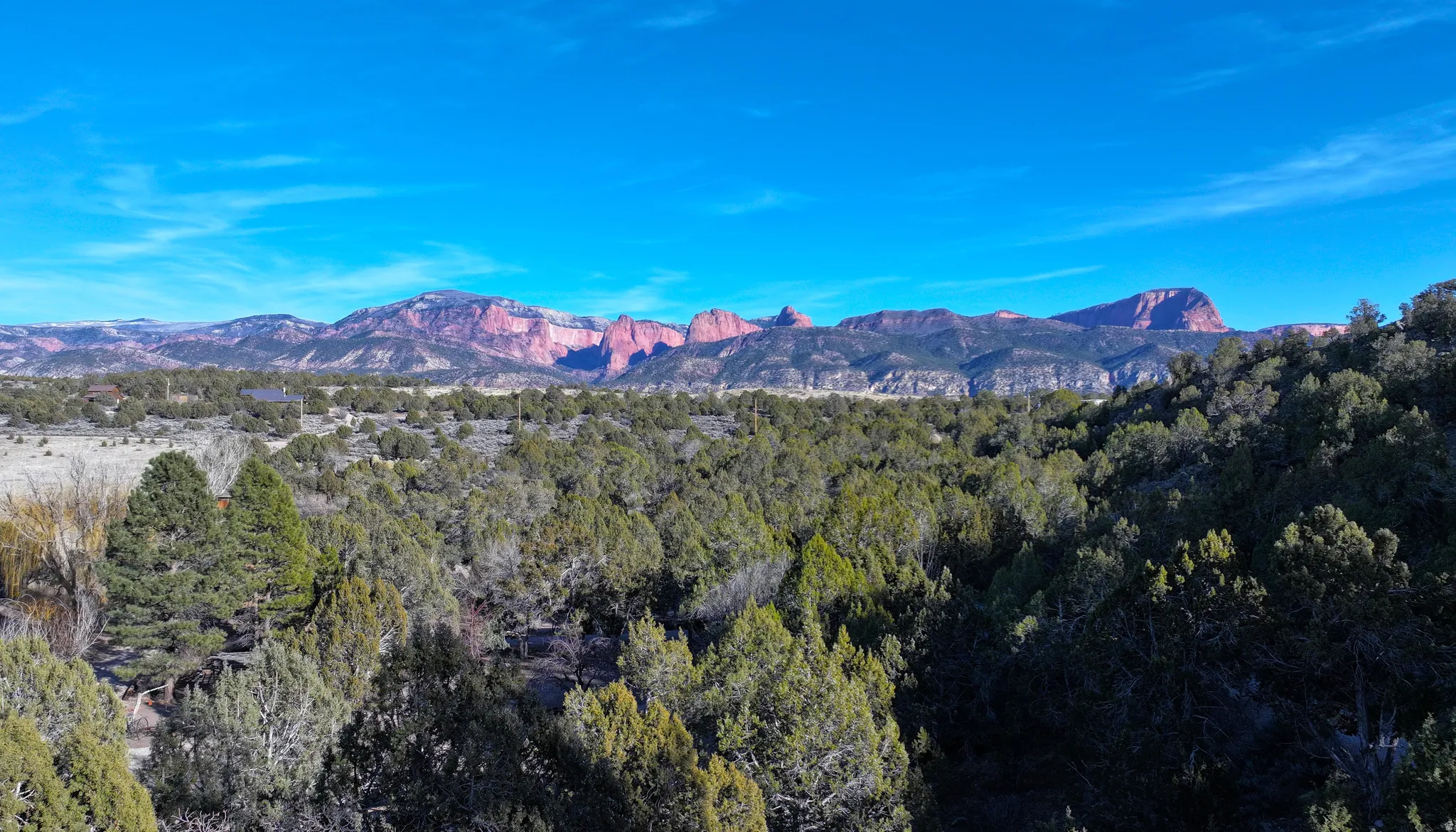 Expansive natural landscape featuring varied evergreen trees, distant red rock formations, and a clear blue sky