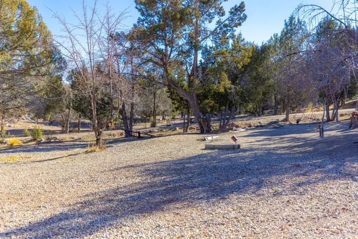 Expansive lot featuring a gravel surface and varied mature trees